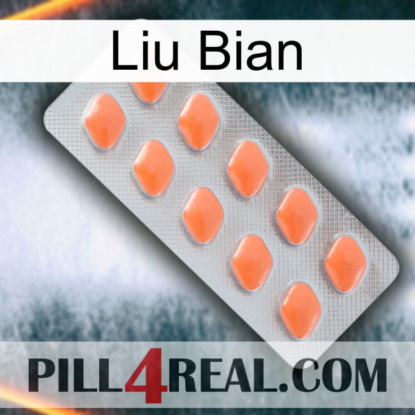 Liu Bian 26